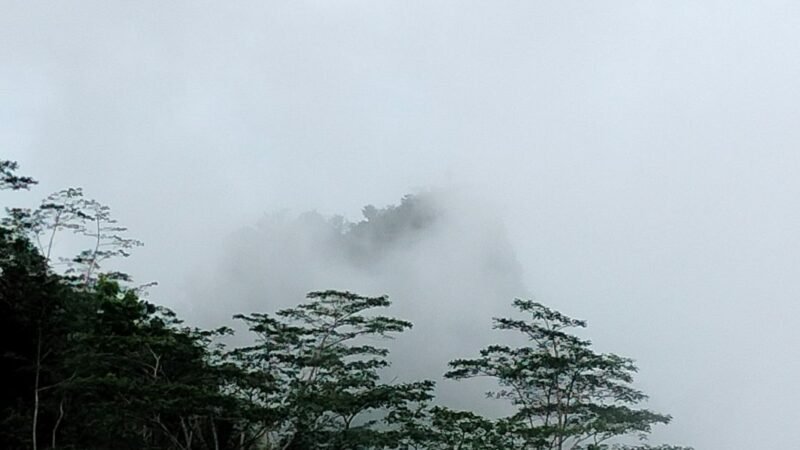 Tabir Suroloyo