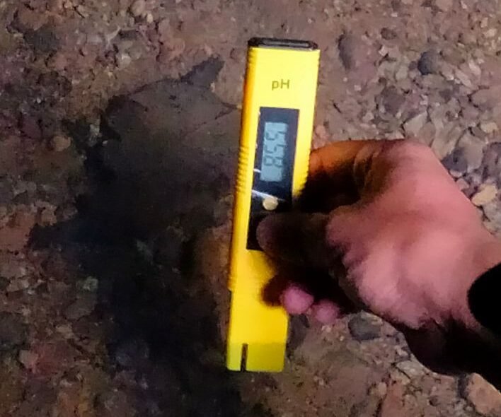 Survei Lokasi Penanaman