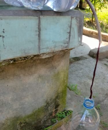 Infus Tanaman